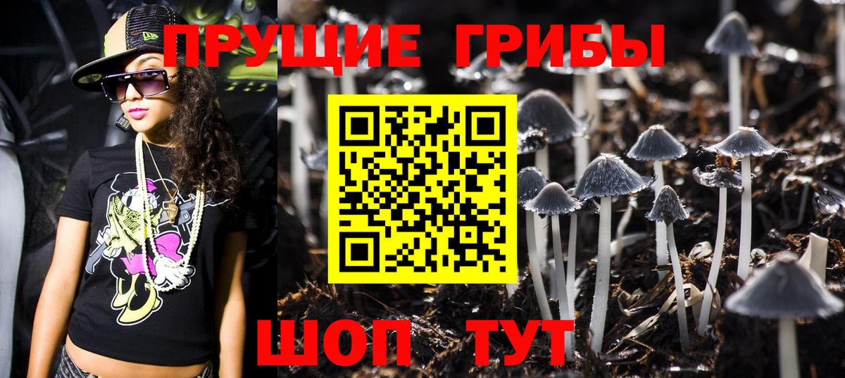 Галлюциногенные грибы Magic Shrooms  Вход с VPN  Хасавюрт 