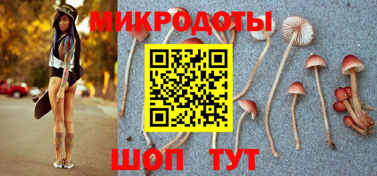 Псилоцибиновые грибы MAGIC MUSHROOMS Хасавюрт
