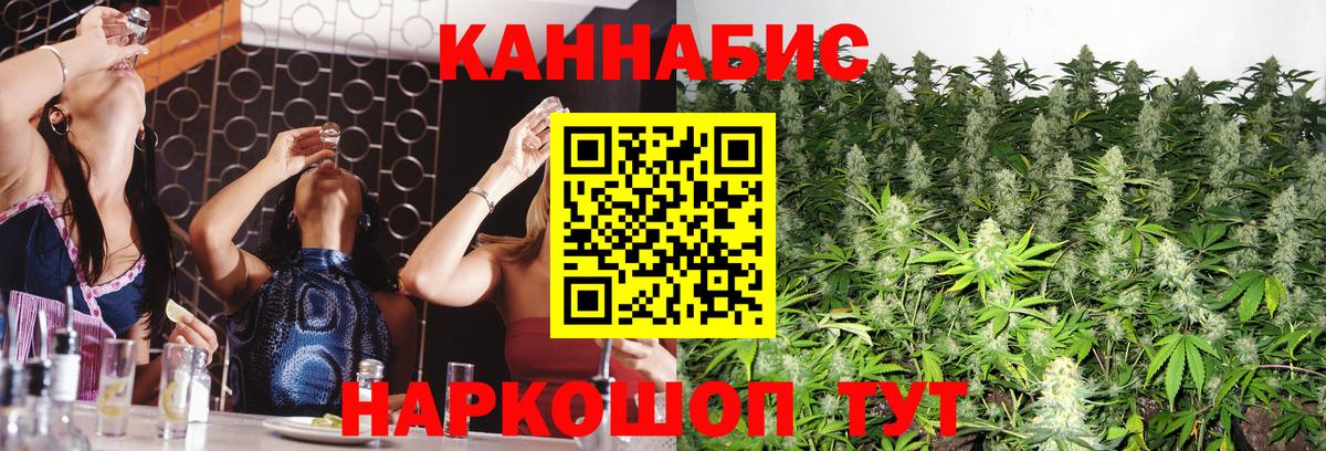 Конопля сатива  Канабис план  Конопля индика  Вход с VPN  Хасавюрт 